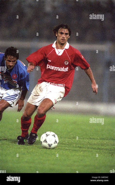 PORTUGESE SOCCER. JOAO PINTO, BENFICA Stock Photo - Alamy