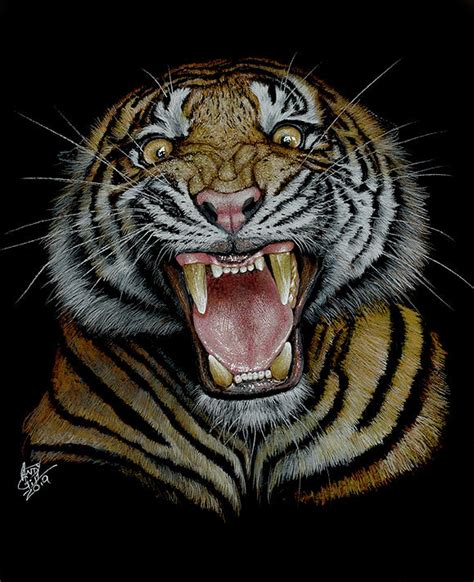 Tiger roar Drawing by Andy Gill