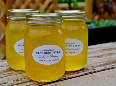 Lemon Balm Jelly | Just A Pinch Recipes