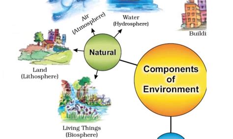 Components of Environment-Definition, Chart, PDF, Diagram