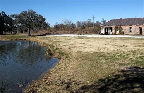 Skulboy Designs: CITY PARK Disc Golf course New Orleans, LA