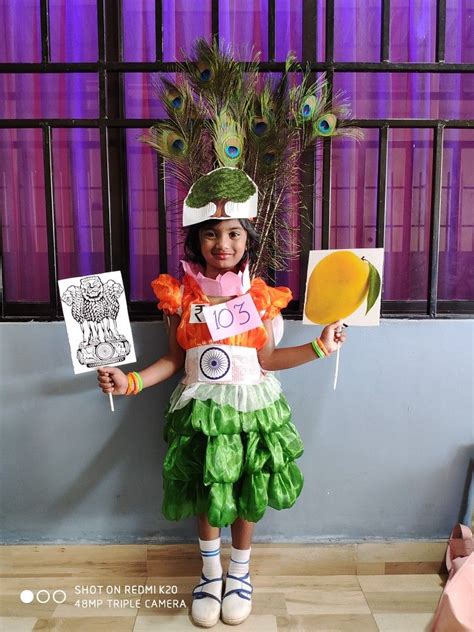 Fancy dress on National symbols of india | Fancy dress costumes kids, Fancy dress for kids ...