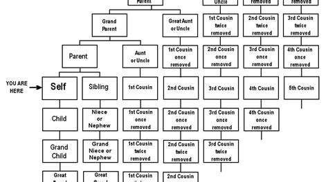 The difference between second cousins and cousins once removed | Family ...