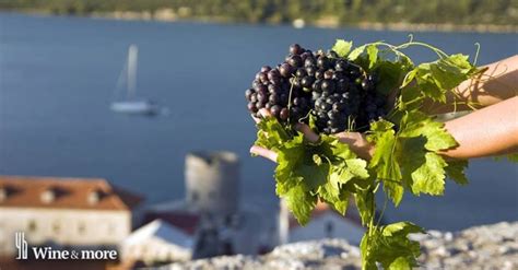 [INFOGRAPHIC] Croatian Wine Map - Wine Regions of Croatia | Croatia Week