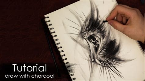 Charcoal Pencil Drawing Techniques - bestpencildrawing