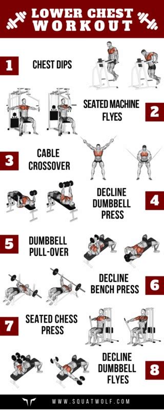 8 Lower Chest Workouts for Defined Pecs - SQUATWOLF