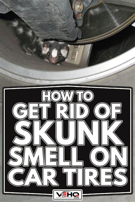 How To Get Rid Of Skunk Smell On Car Tires?