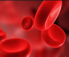 Erythrocytes - Function, Normal Range, HIgh (Causes) | Health Momma