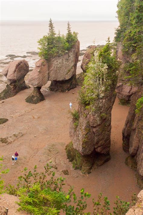 IsenhartsPhotos: Hopewell Rocks - low tide