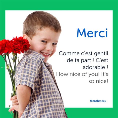 The many French "merci" - free lesson w/audio | How to speak french, French vocabulary, Grateful ...