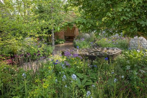 Modernist garden design ideas | RHS Chelsea Flower Show 2023