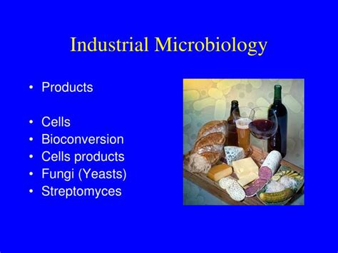 PPT - Industrial Microbiology PowerPoint Presentation, free download ...