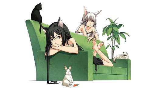 1366x768px, 720P Free download | carrot, tail, black hair, black cat, lying on the sofa, anime ...