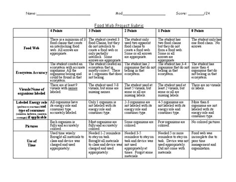 3 Food Web Project Rubric | PDF | Biogeochemistry | Systems Ecology