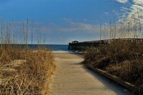 Myrtle Beach State Park: Myrtle Beach Attractions Review - 10Best Experts and Tourist Reviews