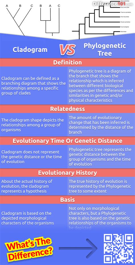 Cladogram vs. Phylogenetic Tree: 5 Key Differences, Description ...