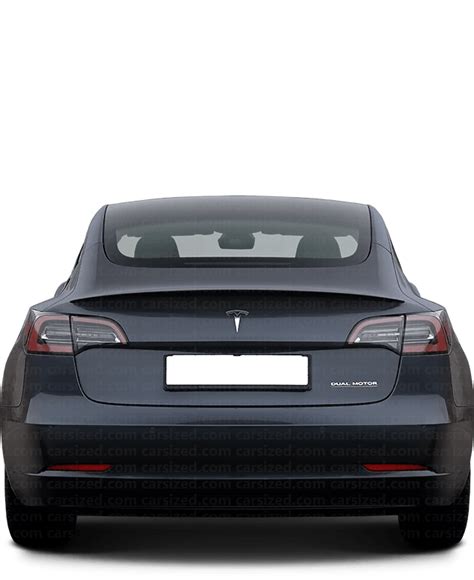 Tesla Model 3 2017-2023 Dimensions Rear View