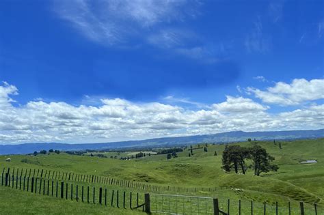 Is It Worth Visiting Hobbiton movie set Tour Packages in New Zealand ...