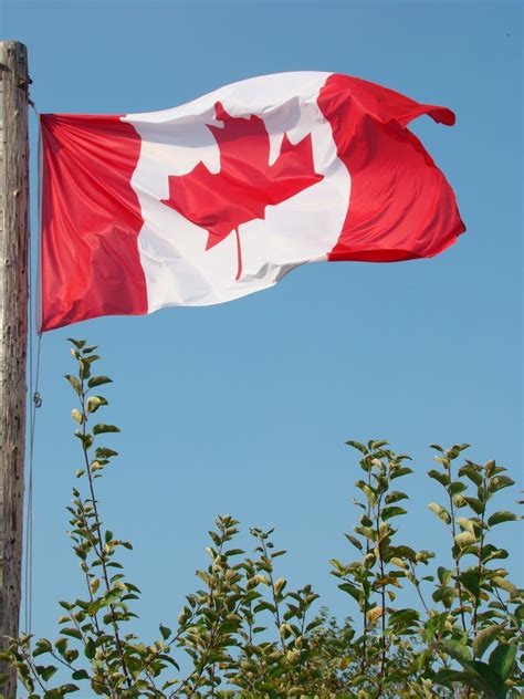 Oh Canada Free Photo Download | FreeImages