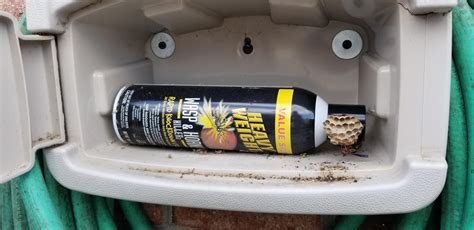 Wasps made a nest on my wasp spray bottle : r/WaspHating