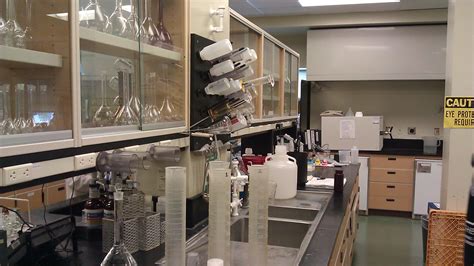 Lactate Dehydrogenase Test