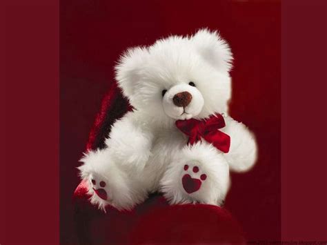 Cute Teddy Bear wallpaper | 1280x960 | #55653