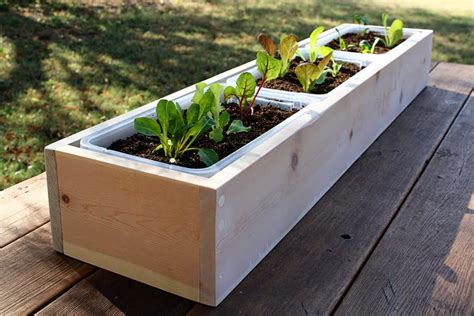 DIY Planter Box: Ideas and Tips to Build Your Own