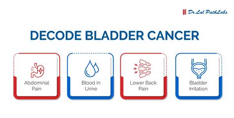 Bladder Cancer: Symptoms, Diagnosis and Prevention - Dr Lal PathLabs Blog