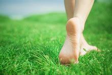 Bare Feet On The Green Grass Free Stock Photo - Public Domain Pictures