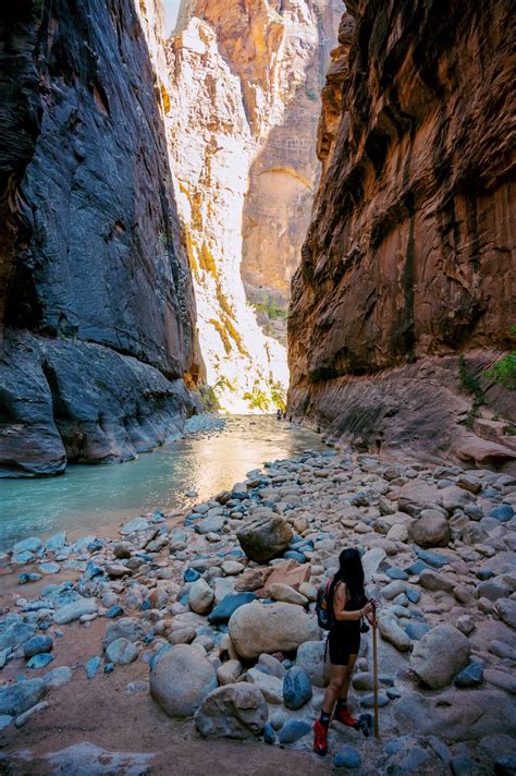 Everything You Need to Know Before Visiting The Narrows at Zion National Park — Savory Escape