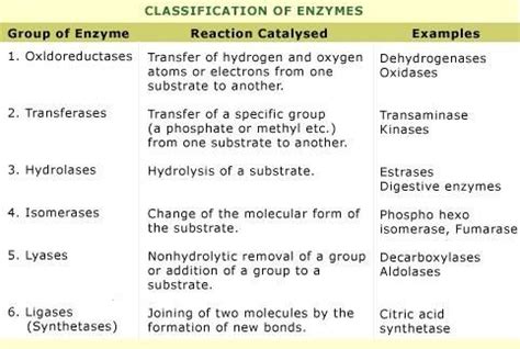 Classification of Enzymes ... (*) OTHLIL 【 Note: Lyase - Decarboxylase ...