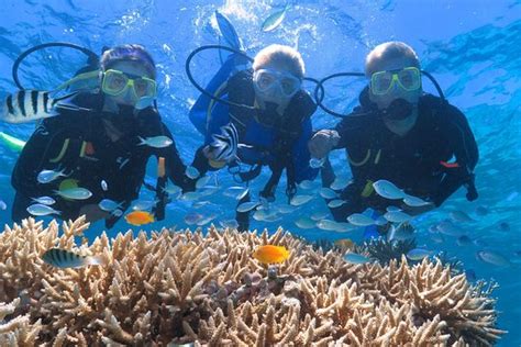 Quicksilver Outer Great Barrier Reef Snorkel Cruise from Port Douglas | Port Douglas, Queensland ...