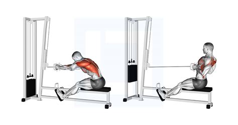 Cable Seated Row - Guide, Benefits, and Form