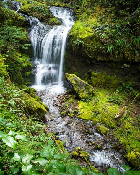 Angel Falls Hike - 0005 - Tiny House Giant Journey