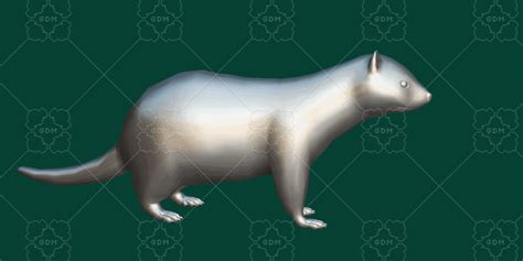 European Polecat Mammal | GameDev Market