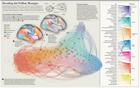 Network Neuroscience - @lantis School Of Communication