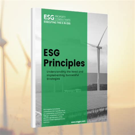 Implementing Successful ESG Strategies PDF | ESG Property Consultants