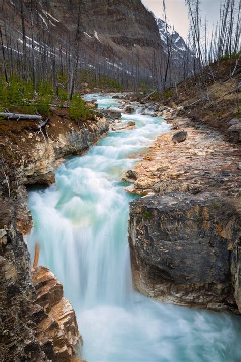 Marble Canyon in Kootenay National Park, British Columbia Stock Image ...