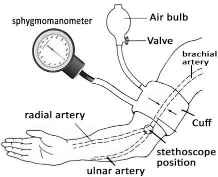 How to Take Blood Pressure