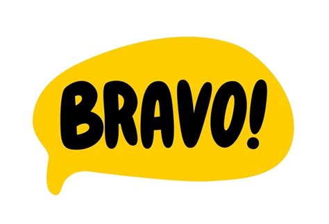 Bravo Logo USA Store | www.pinnaxis.com