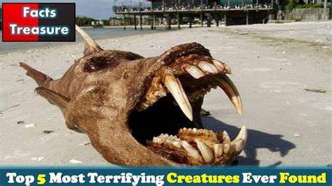 Top 5 Most Terrifying Creatures Ever Found - YouTube