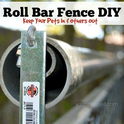 DIY cloture roulante anti fugue pour chat | Diy dog fence, Cat fence, Diy dog stuff