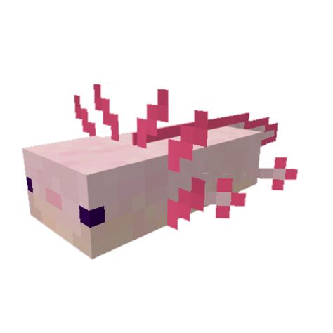 Minecraft Axolotl Template