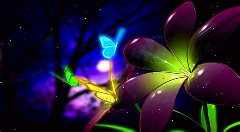 Butterfly Screensavers And Wallpaper | Free HD Wallpapers