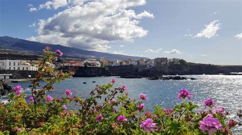 Visit Alcala, Tenerife: Things to do, Beach, Hotels & Events