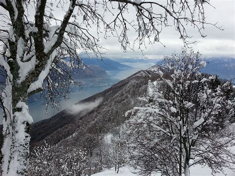 HD wallpaper: lake como, snow, alps, winter, government, tree, cold ...