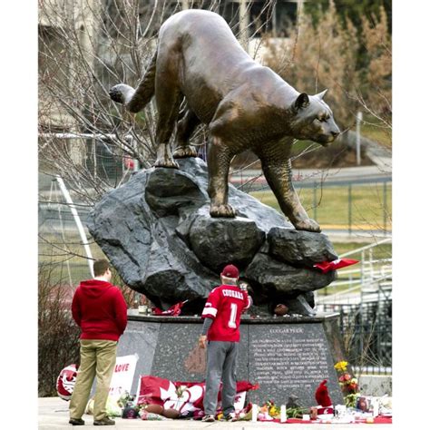 "Cougar Pride" | Washington State University Mascot - Mike Fields ...