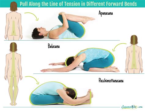 Why do we do forward bends in yoga?