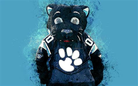 Download wallpapers Sir Purr, official mascot, Carolina Panthers, 4k ...