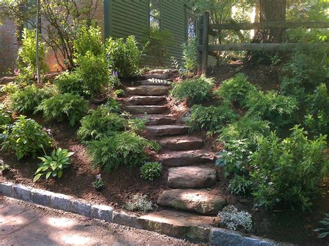 shrub planting | Tree & Landscape Service Blog | Carpenter Costin ...